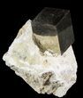 Pyrite Cube In Matrix - Navajun, Spain #51233-1